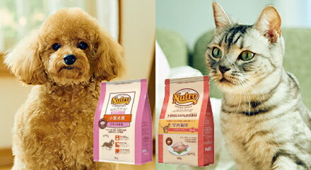 MARS_ニュートロ・スタンプラリー