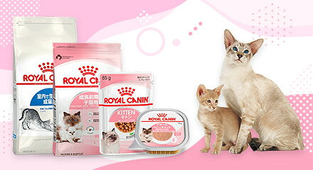 ロイヤルカナン_子猫スタンプラリー