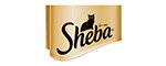 シーバ