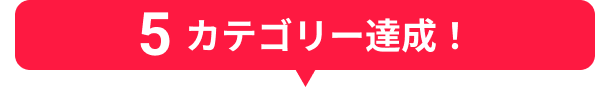 5カテゴリー達成！