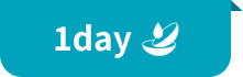 1day