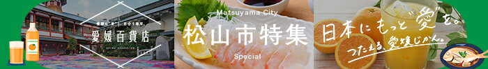 松山市特集