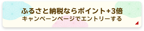 ふるさと納税ならポイント＋3倍。キャンペーンページでエントリーする