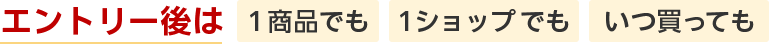 エントリー後は 1商品でも 1ショップでも いつ買っても