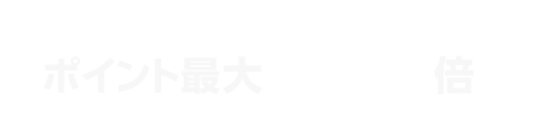 ポイント最大40.5倍！