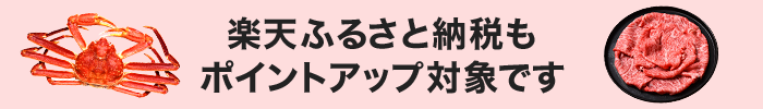 ふるさと納税