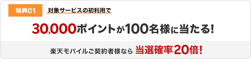 特典01 対象サービスの初利用で30,000ポイントが100名様に当たる！
