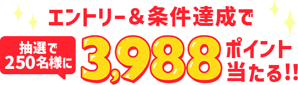 エントリー&条件達成で抽選250名様に3,988ポイント当たる!