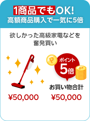 1商品でもOK!高額商品購入で一気に5倍