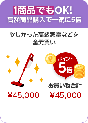 1商品でもOK!高額商品購入で一気に5倍
