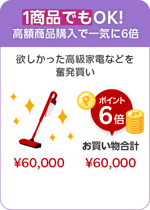 1商品でもOK!高額商品購入で一気に6倍