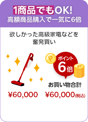 1商品でもOK!高額商品購入で一気に6倍