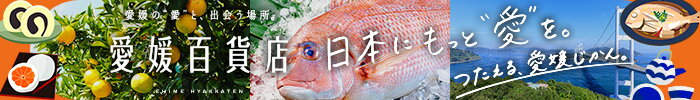 愛媛百貨店