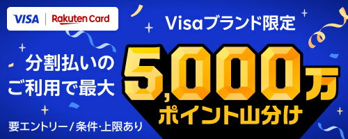 楽天カードVISAブランド限定ポイント山分け企画