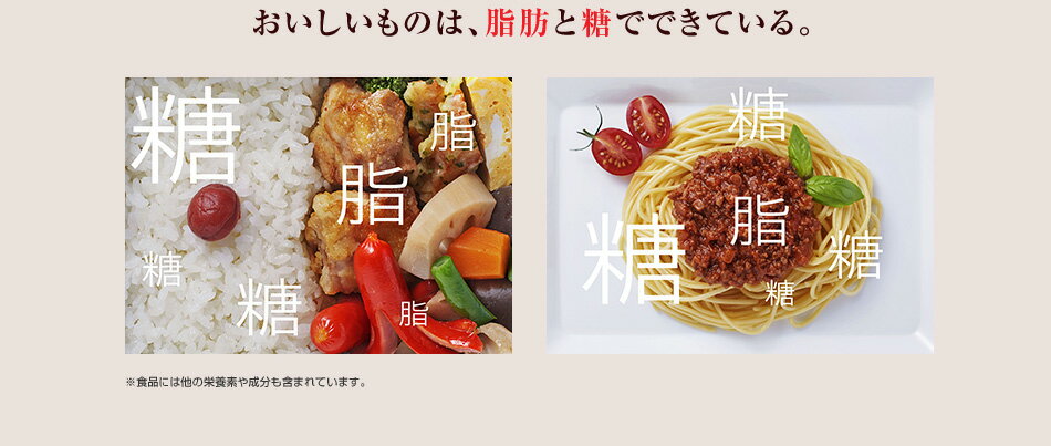 おいしいものは、脂肪と糖でできている。
