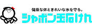 シャボン玉石けん