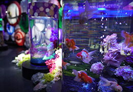 UWS AQUARIUM GA☆KYO DAIBA TOKYO