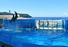 新江ノ島水族館