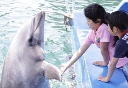 下田海中水族館