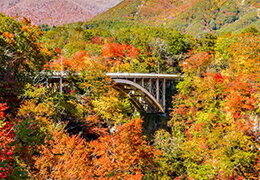 東北の紅葉名所