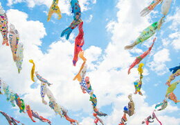 全国の鯉のぼり祭り・イベント