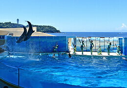新江ノ島水族館