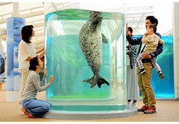 京都水族館