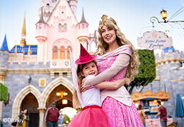 カリフォルニア ディズニーランド・リゾート