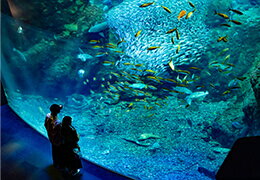 新江ノ島水族館