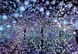 エプソン チームラボボーダレス