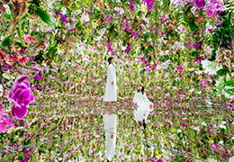 チームラボプラネッツ TOKYO DMM