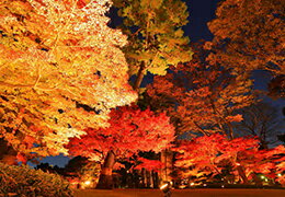 秋の見逃せない絶景！初心者でもOKの紅葉が楽しめる全国の登山スポット