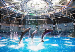 マクセル アクアパーク品川