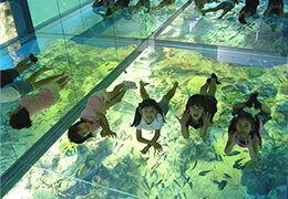 越前松島水族館