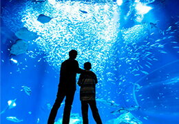 アクアワールド