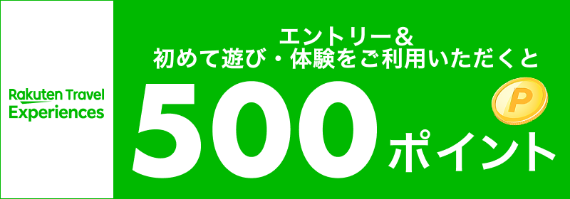 エントリー＆初めて遊び・体験をご利用いただくと500ポイント