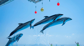 福岡 マリンワールド海の中道 水族館
