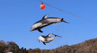 下田海中水族館