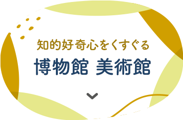 知的好奇心をくすぐる博物館 美術館