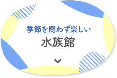季節問わず楽しい水族館