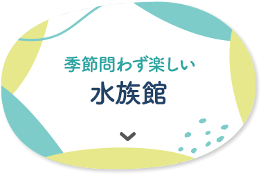 季節問わず楽しい 水族館