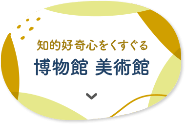 知的好奇心をくすぐる 博物館 美術館