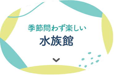 季節問わず楽しい 水族館