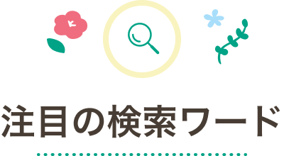 注目の検索ワード