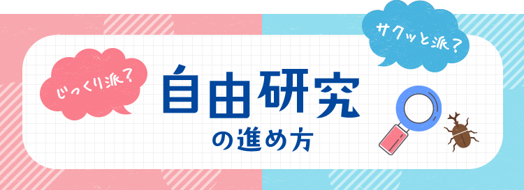 自由 研究 コレクション 水着