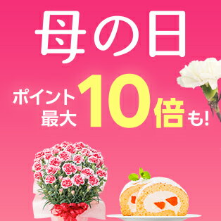 母の日特集2026