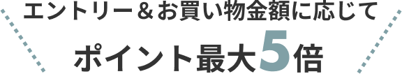 エントリー＆お買い物金額に応じてポイント最大5倍
