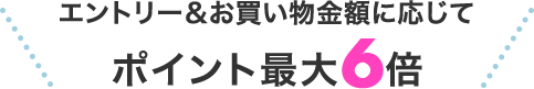 エントリー&お買い物金額に応じてポイント最大6倍