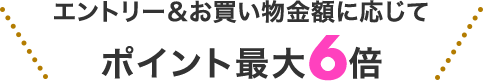 エントリー&お買い物金額に応じてポイント最大6倍