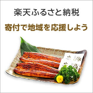 楽天ふるさと納税